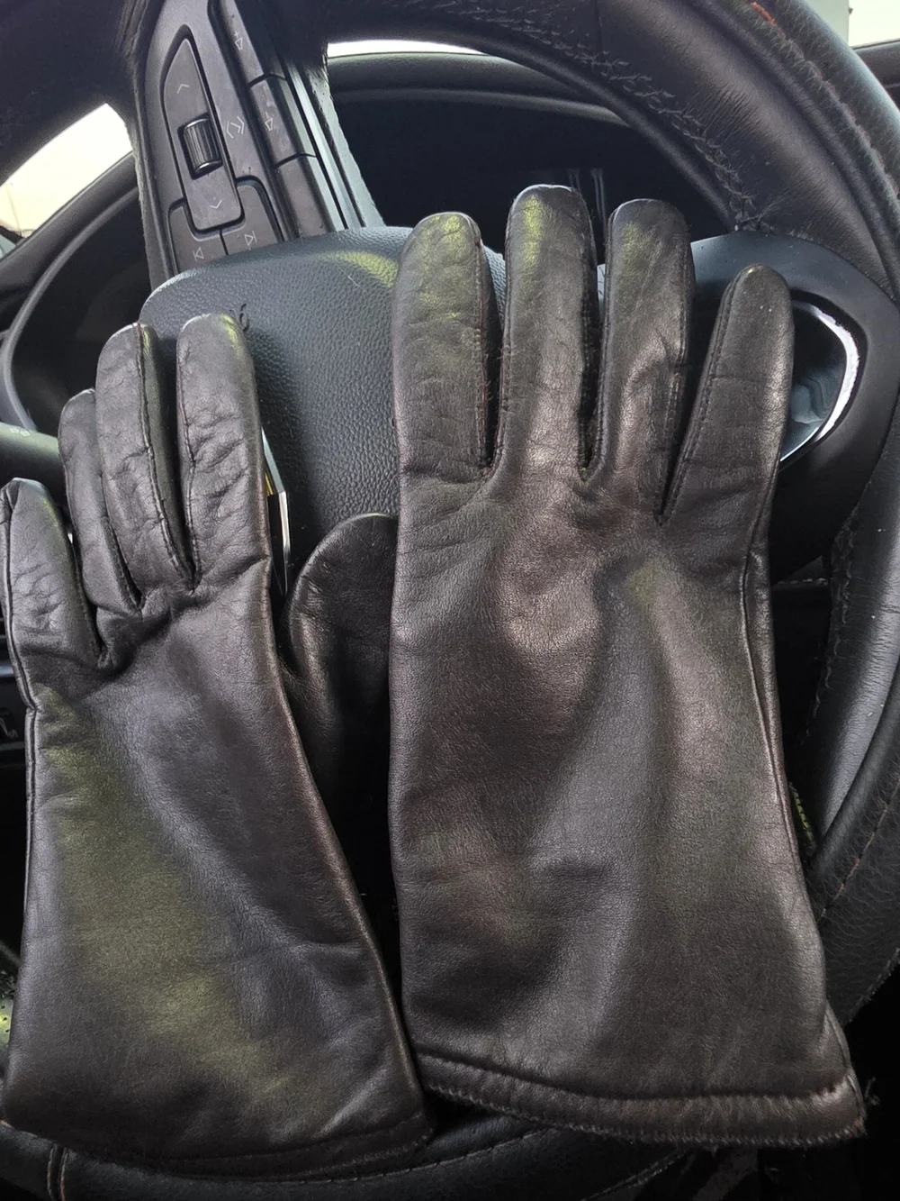 Thinsulate Thermal INSULATION Brown Leather Gloves.